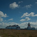 Ann Head Photo 9