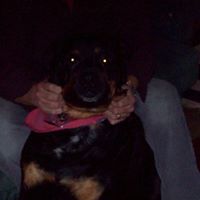Shelley Kelley Photo 15