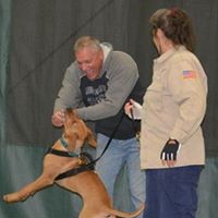 Wayne Olson Photo 23