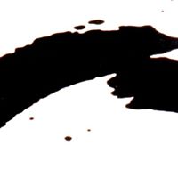 David Michaeli Photo 21