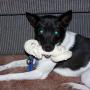 John Scheetz Photo 6