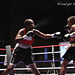 Ann Wolfe Photo 27