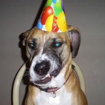 Paul Pettit Photo 33