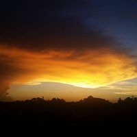 Renae Jenkins Photo 9