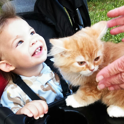 Tracey Ford Photo 30