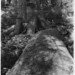 Gerald Warren Photo 40