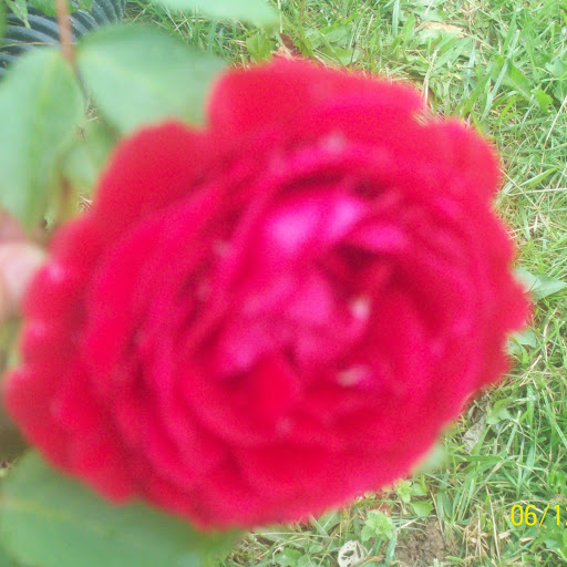 Stephanie Thacker Photo 12