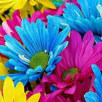 Marsha Pruitt Photo 13