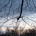 Dawn Lafontaine Photo 4