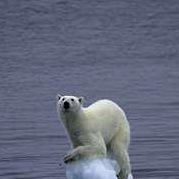 Debbie Cassidy Photo 15