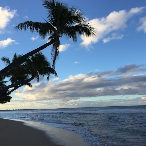 Jason Campbell Photo 52