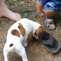 Jerry Henley Photo 9