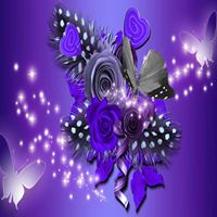 Tracey Willis Photo 40