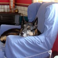 Ann Elwood Photo 7