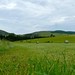 Geraldine Land Photo 13