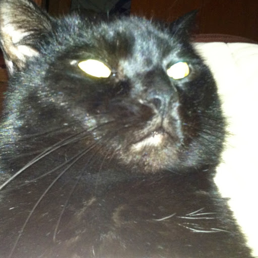 Chad Hammond Photo 37