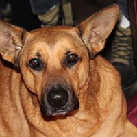 Gerald Olson Photo 35