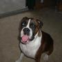Cheryl Norton Photo 44