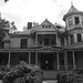 Celeste Wilson Photo 15