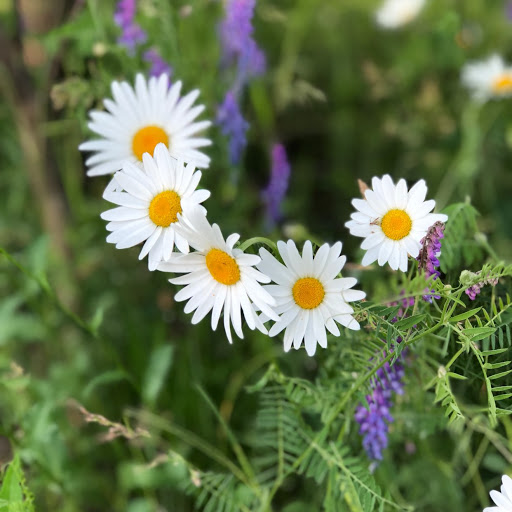 Vivian Maldonado Photo 13