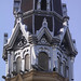 Stephen Vaughn Photo 20