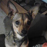 Wanda Roberson Photo 17