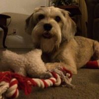 Susan Maurer Photo 14