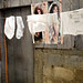 Vivian Chen Photo 15