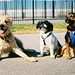 Erin Sapp Photo 25