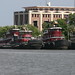 Cynthia Waters Photo 32