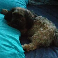 Tracy Paterson Photo 11