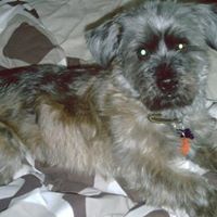 Frederick Hemphill Photo 3