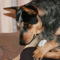 Sammie Stephens Photo 22