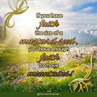 Christy Howe Photo 24