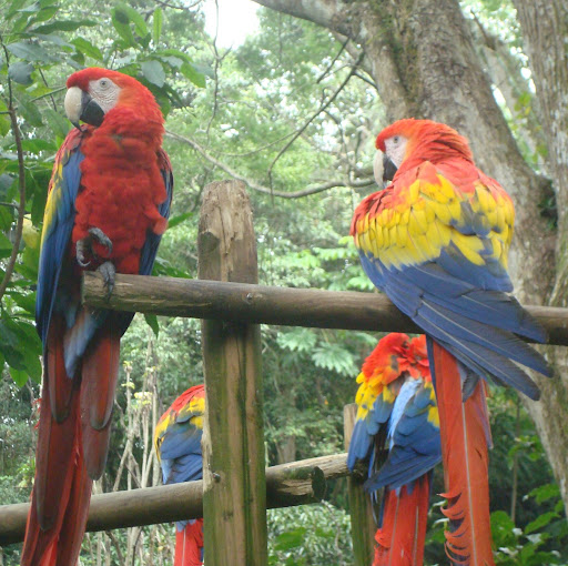 Cindy Bermudez Photo 14