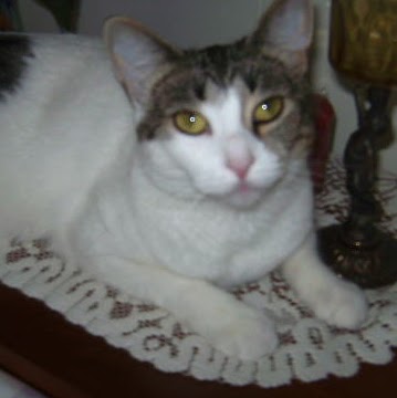 Howard Woolf Photo 21