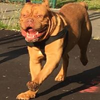 Paula Evans Photo 23