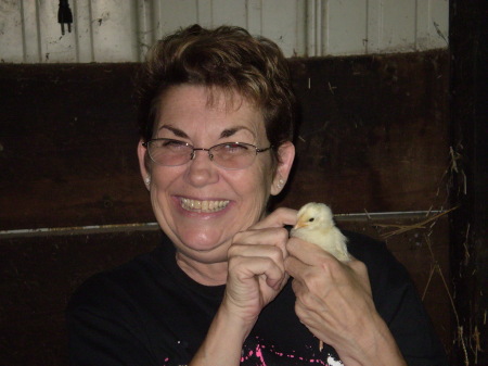 Paula Kelly Photo 33