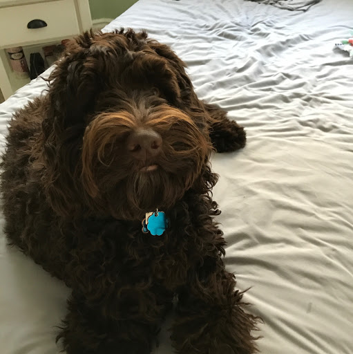 Julia Waller Photo 4