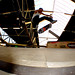 Jay Saenz Photo 3