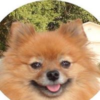 Catherine Martin Photo 26 Catherine Martin Photo 26