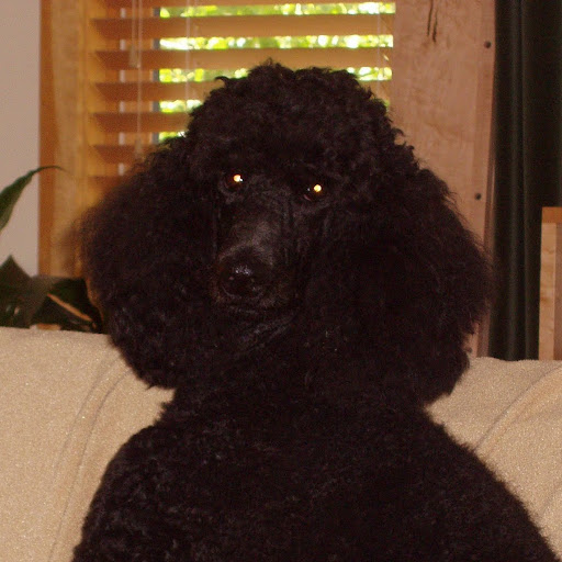 Victoria Kuhn Photo 31