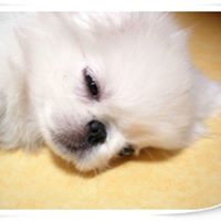 Sunhee Cho Photo 7