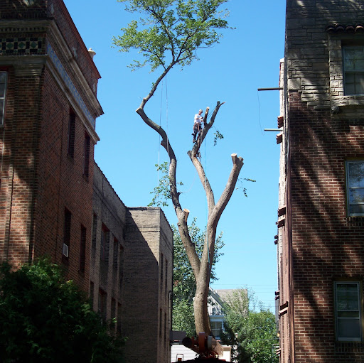 Scott Kantor Photo 15