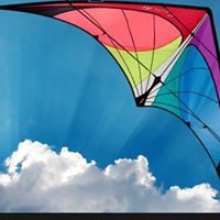 Patricia Brogan Photo 9