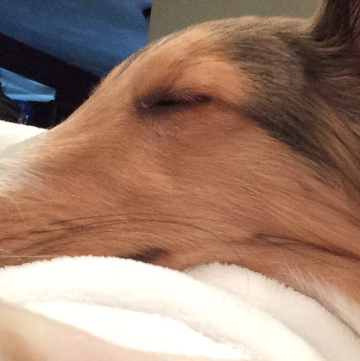 Michelle Barber Photo 22