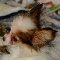 Cindy Potts Photo 42