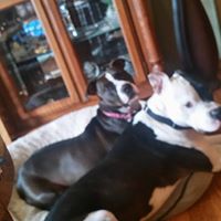 Thomas Polka Photo 3