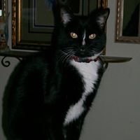 Joan Starr Photo 12