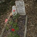 Stephen Thacker Photo 13
